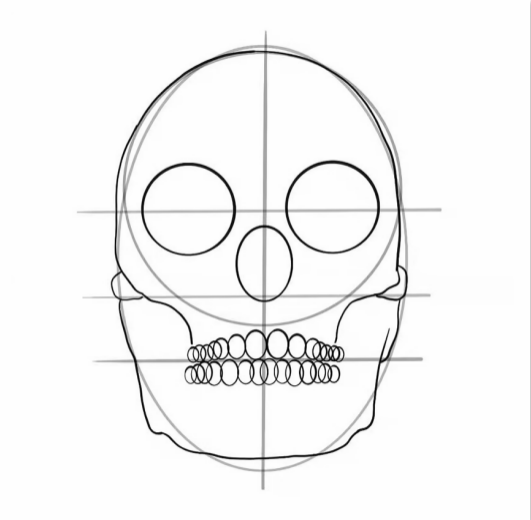  Describe the Bone Structure of the Cheeks and Jaw