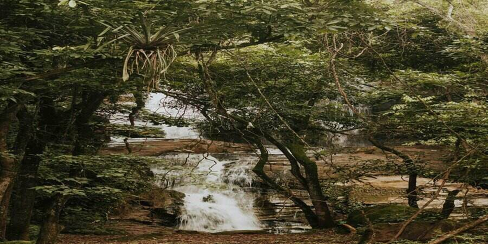 Minnehaha Park