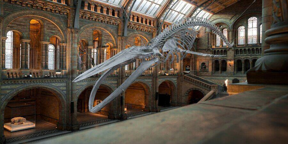 The Natural History Museum of Utah   Things to do in Salt lake city