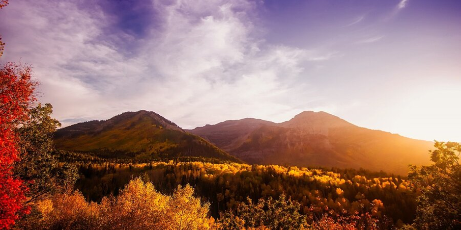 RED BUTTE GARDEN
Things to do in Salt lake city