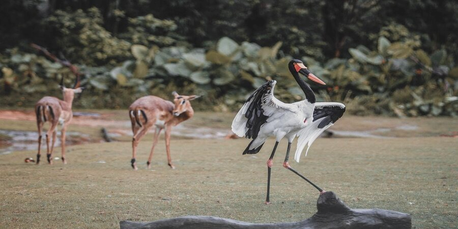 The Hogle Zoo
Things to do in Salt lake city