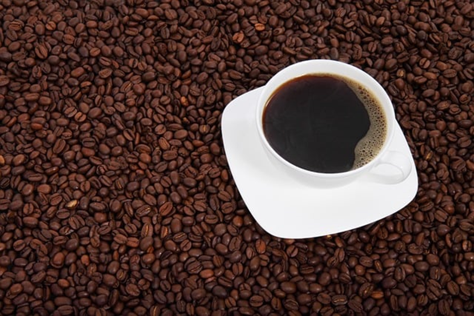 Black Ivory Coffee: The King of Exclusivity
The World's Most Expensive Coffees 
