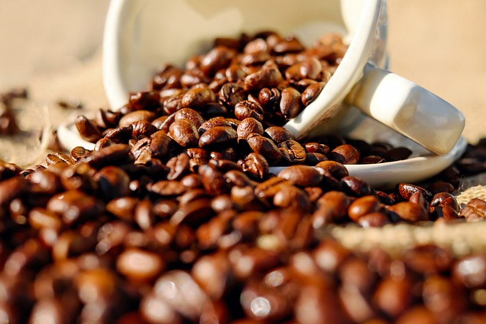 Hacienda La Esmeralda: A Geisha Coffee Marvel