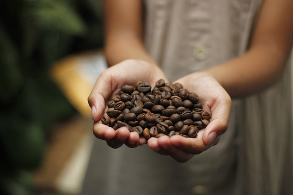 Ospina Coffee
The World's Most Expensive Coffees 