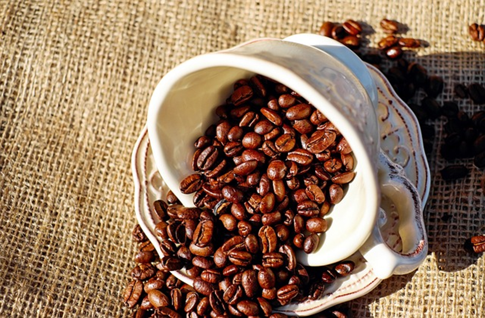 world most expensive coffee