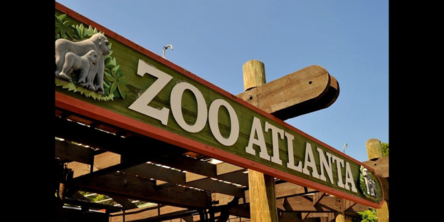 Discover Atlanta's Green Spaces zoo
