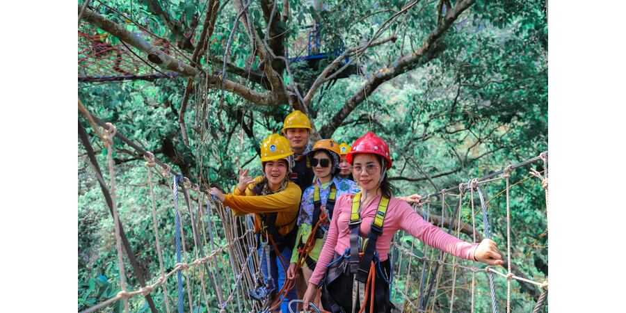 Zipline Adventures